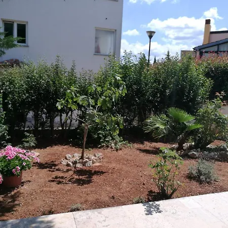 Apartment Bozena 6